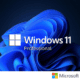 Windows 11 Professional Software