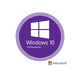 Windows 10 Professional Software