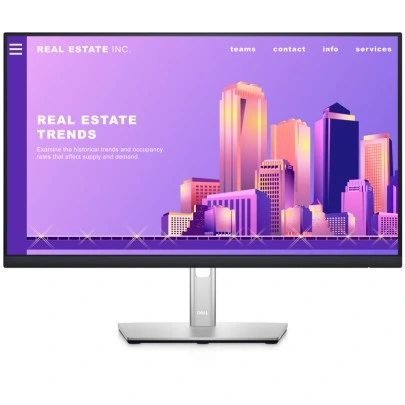 Dell P2422H 24-inch Monitor